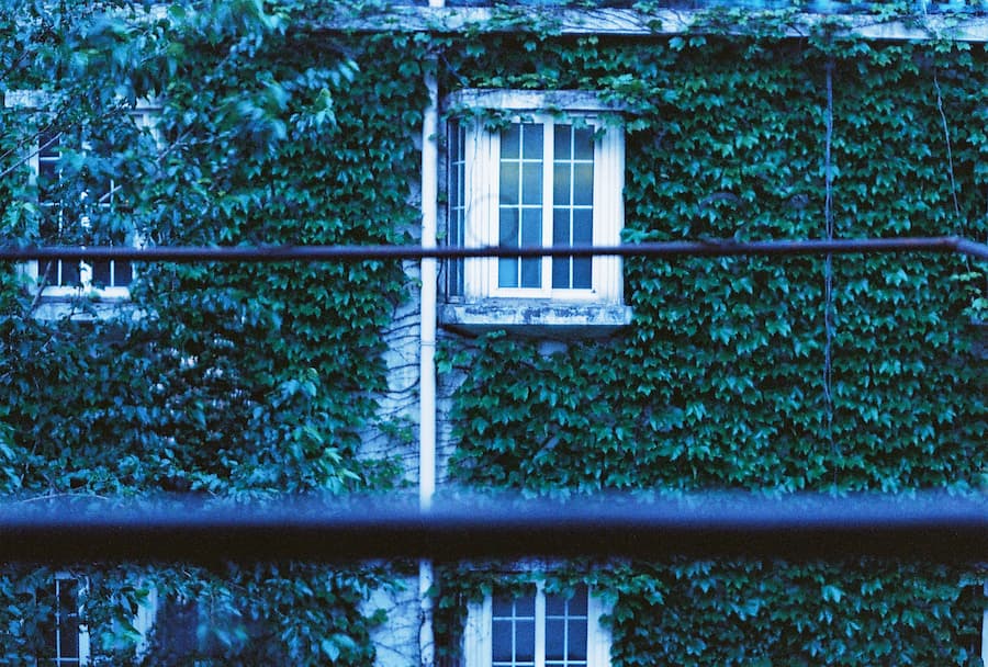 A picture of a window